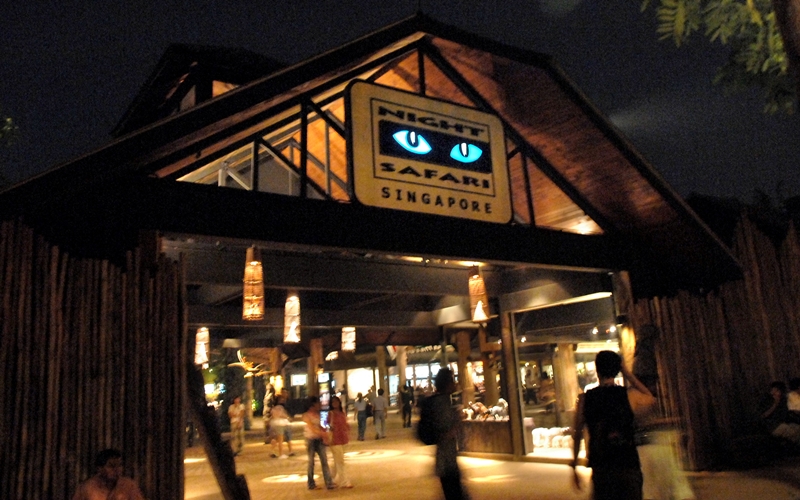 20170825_stb_safari1.jpg
