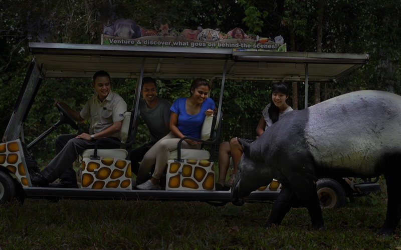 20170825_stb_safari3.jpg