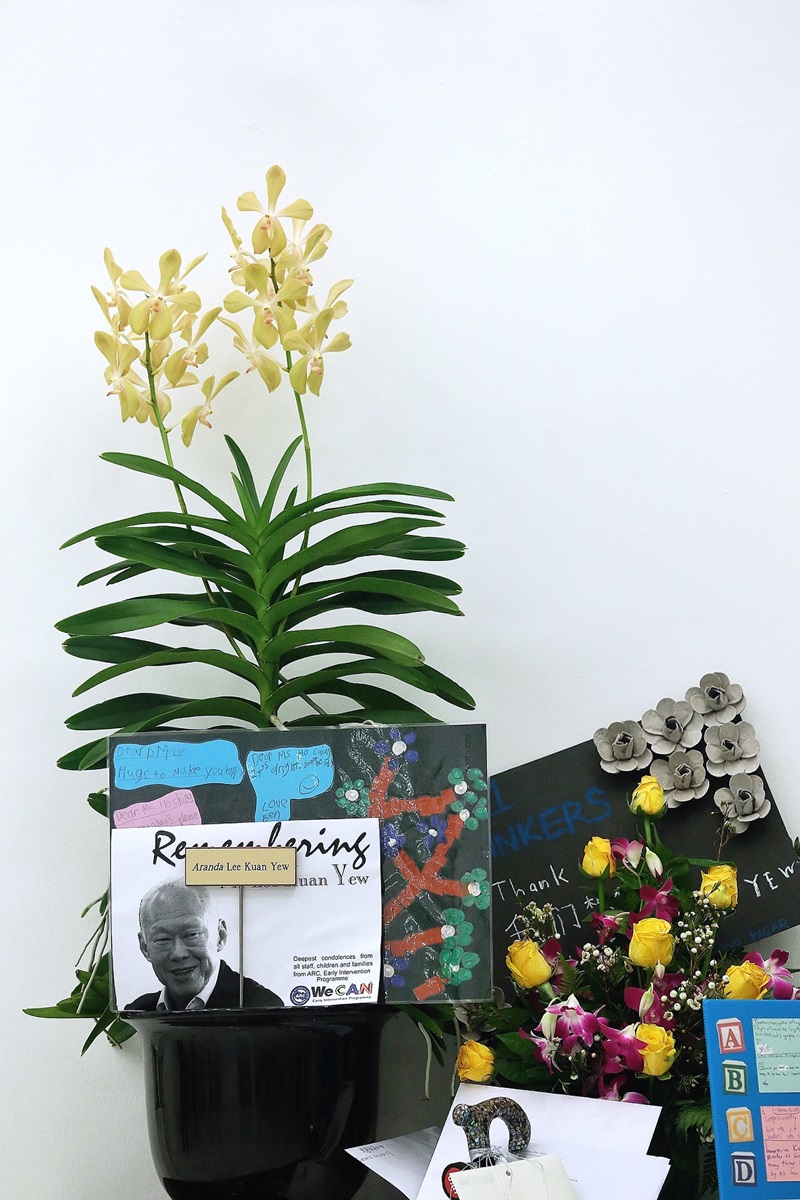 20170927_orchids_03.jpg