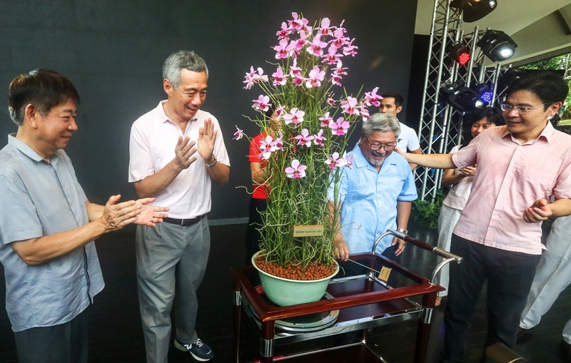 20170927_orchids_04.jpg