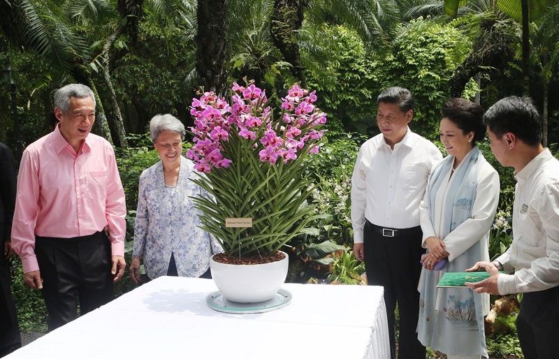 20170927_orchids_05.jpg