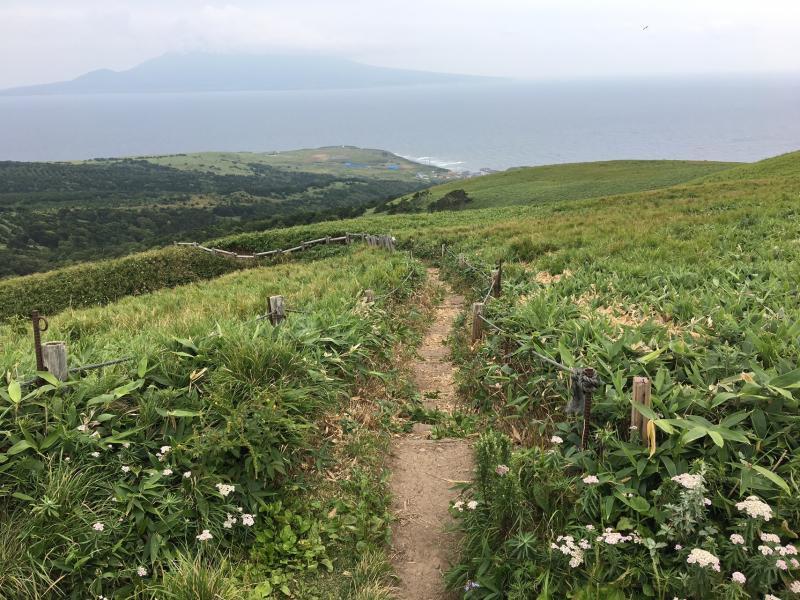 礼文岛:山脊健行,一路野花做伴。远处可见云缠雾绕的利尻山。