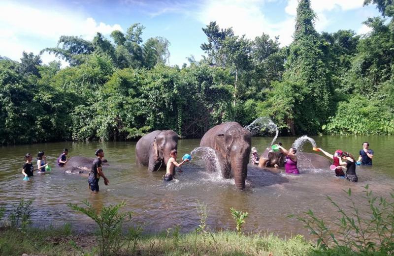 游客在象夫的陪伴和指导下,为大象洗澡。