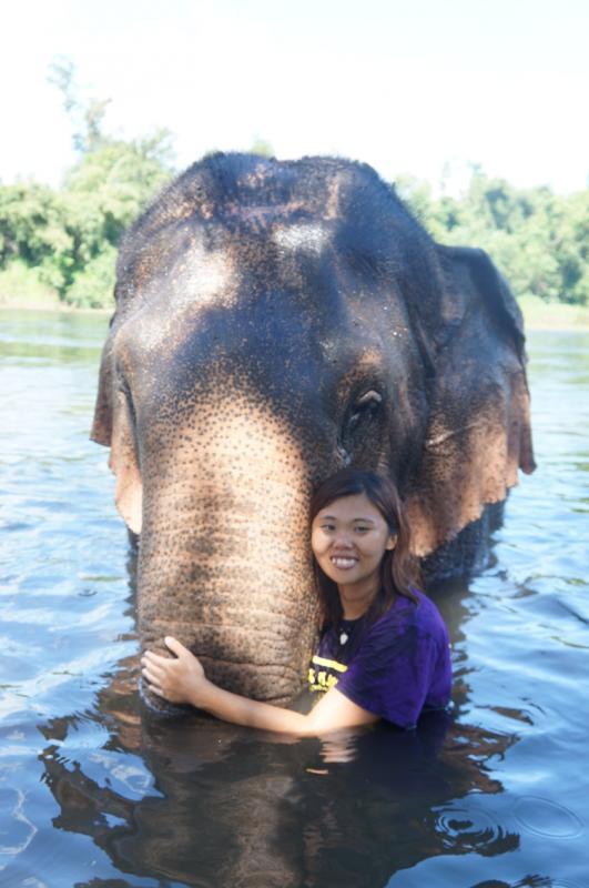 翁铭芯和她最喜欢的大象Kammon,它是“大象世界”最大只的,体重4200公斤。