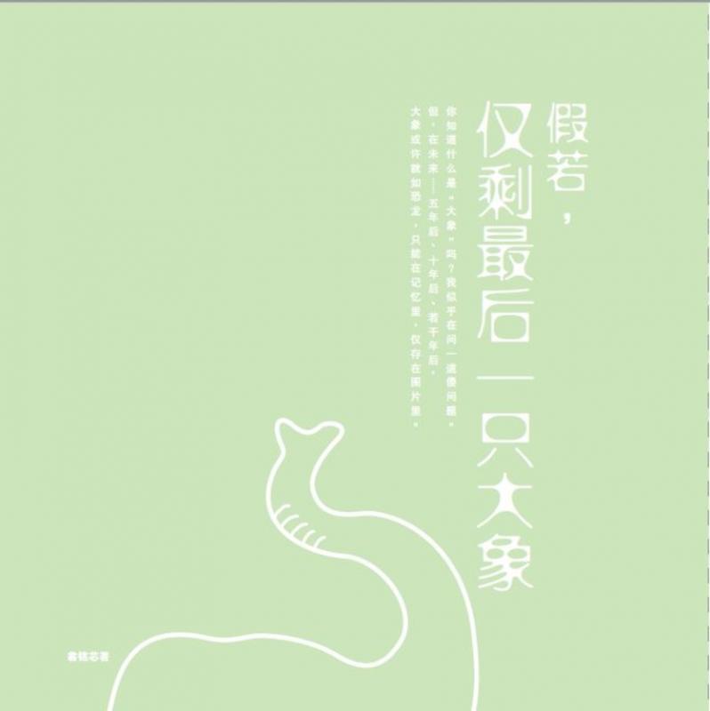 《假若,仅剩最后一只大象》是给大人们看的,以照片和文字的方式记录翁铭芯在“大象世界”的体验。