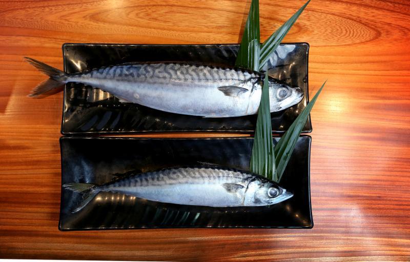 鲭鱼含丰富的Omega-3脂肪酸。