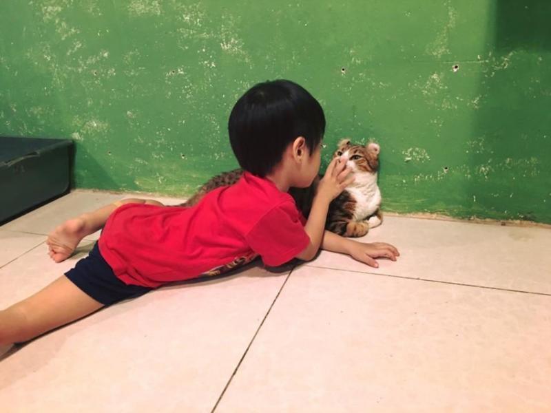 陈家兴让自闭儿接触宠物，接受另类治疗。