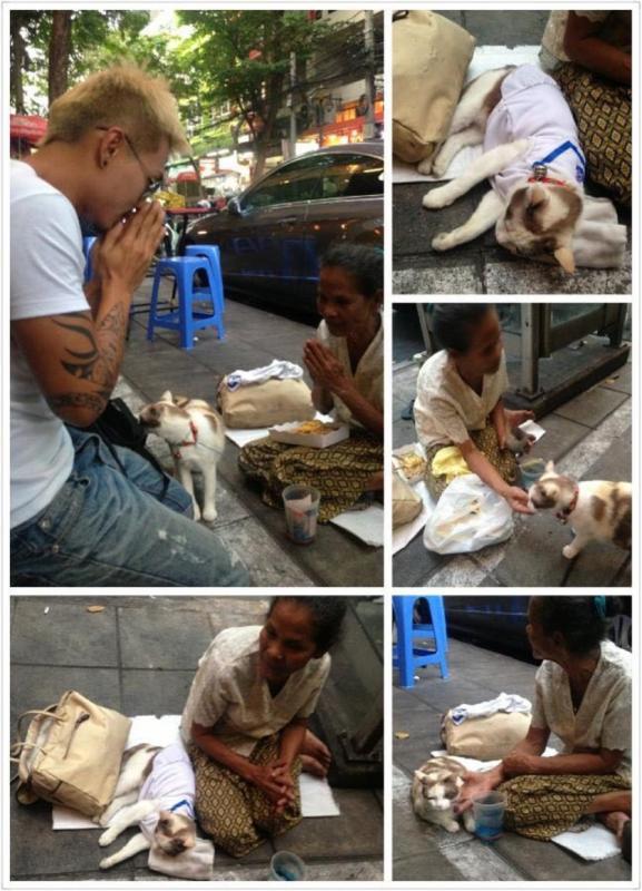 36岁的陈家兴养狗，也时不时到处“养人”。