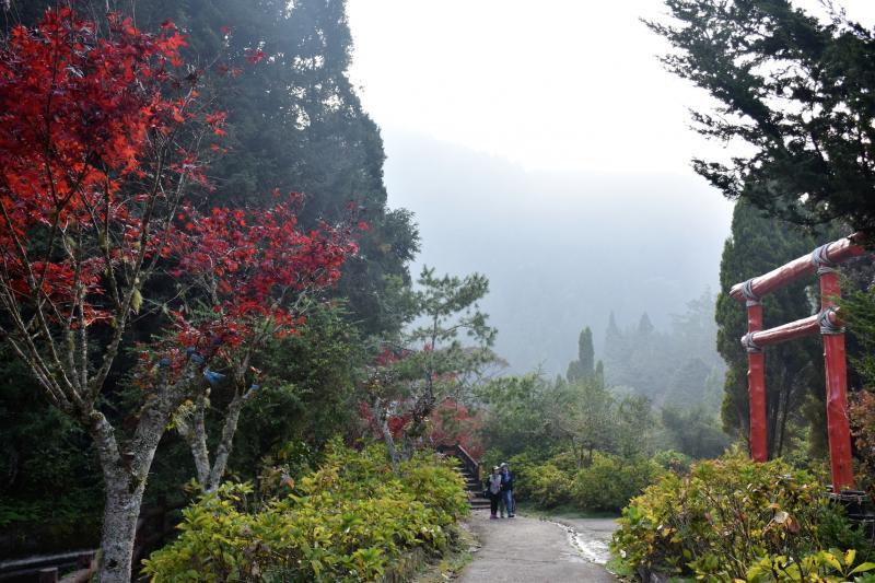 杉林溪园区景色优美,气候宜人,云雾弥漫,空气清新,令人流连忘返。