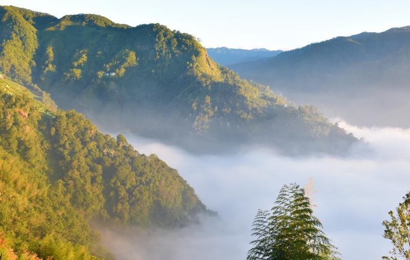 起伏的山峦在夕阳下被浓浓的云海围绕,青山霎时间都穿起白纱裙,婀娜多姿。