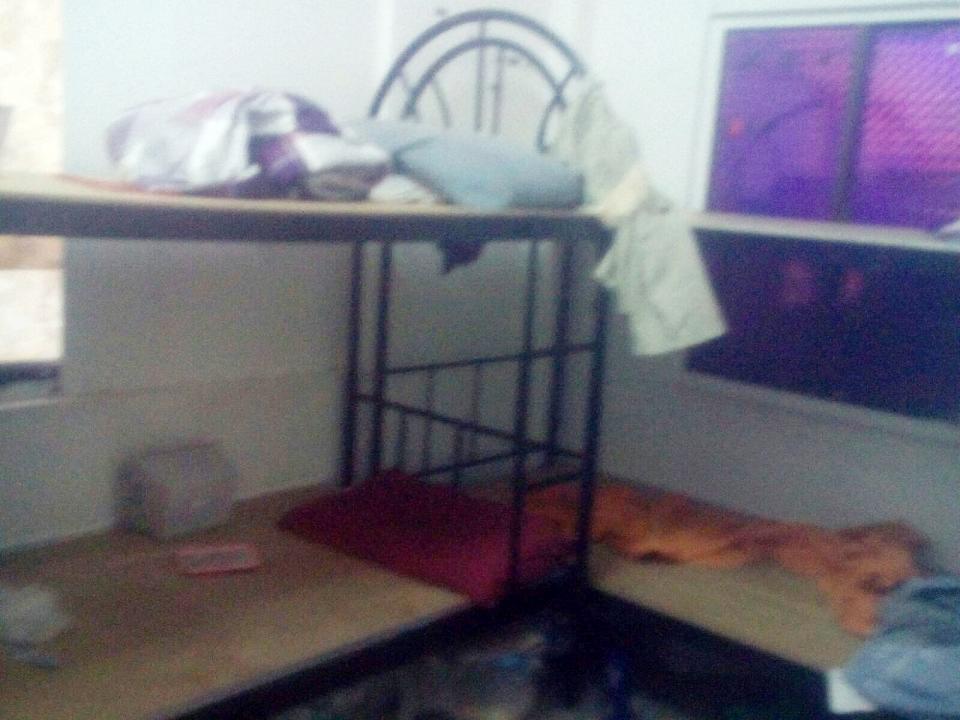 img-20171215-wa0016_Medium.jpg