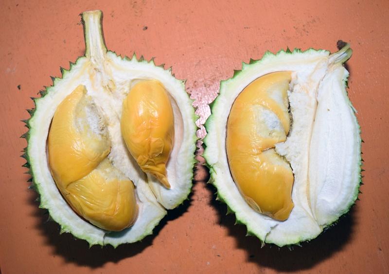 20171214_lifestyle_durian_07_Medium.jpg