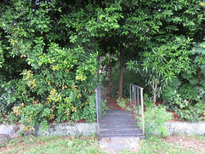 离开亿达商业园，右边不时出现横跨水沟各式“小桥”，引发无限想象。