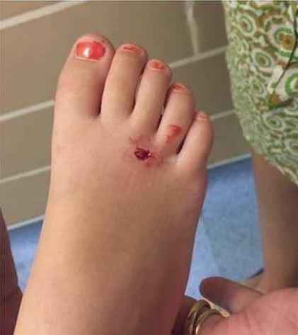 foot_Medium.jpg