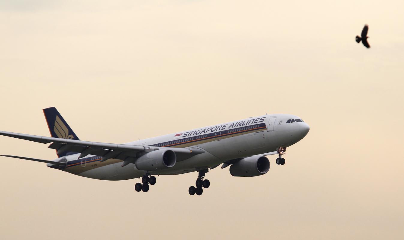 04012017_news_sia1_Large.jpg