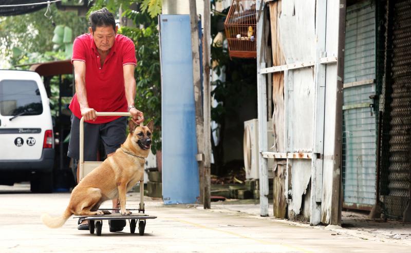陈江平与“黑嘴”老哥俩每天会在农场里巡场,黑嘴格外乖巧懂事。