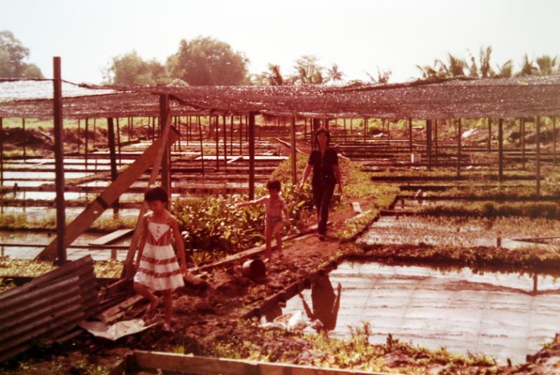陈淑芬(左一)小时候便在惹兰加由的农场里玩耍、帮手。(受访者提供)