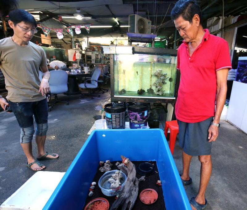 李晋伟(左)在陈江平的农场负责管理3000多种水生物。