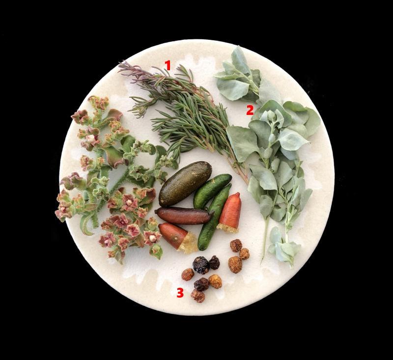 澳洲植物类的丛林食材,本地食客较少见。①海滩滨藜②盐生灌木③野生灌木番茄。