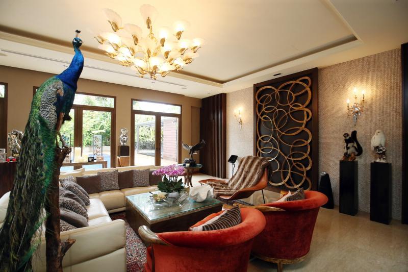 孔雀标本等摆设在房子各个不同角落。