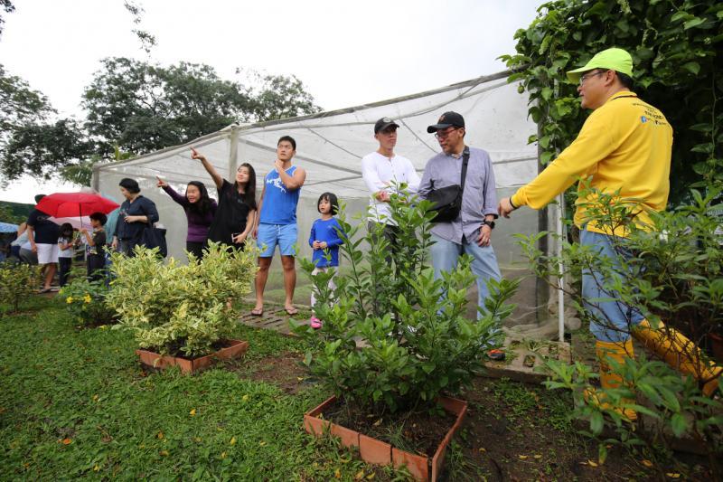 陈梽勇主办的参观生态园和蜂蜜品尝活动，获得一家大小和旅居岛国的外国人的支持。（梁麒麟摄）