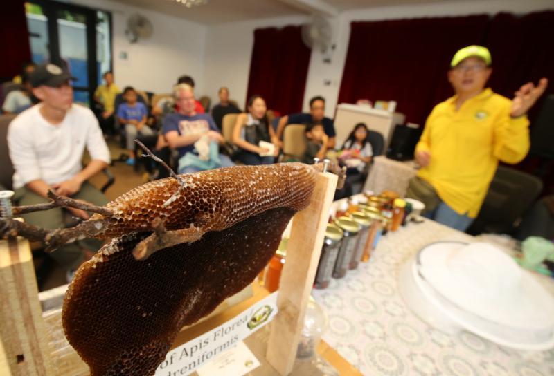 陈梽勇不定时主办参观生态园和蜂蜜品尝活动。