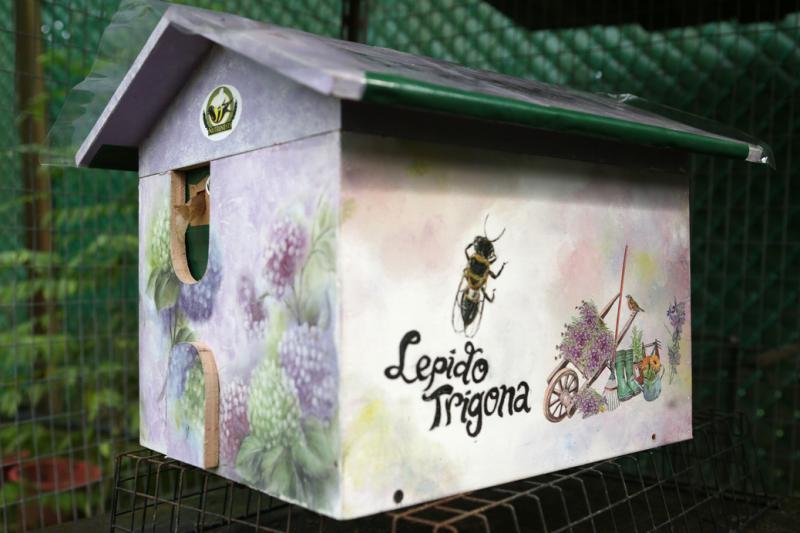 Ashram生态园的彩绘蜂箱是陈梽勇的太太黄春梅亲手制作的。（谢智扬摄）