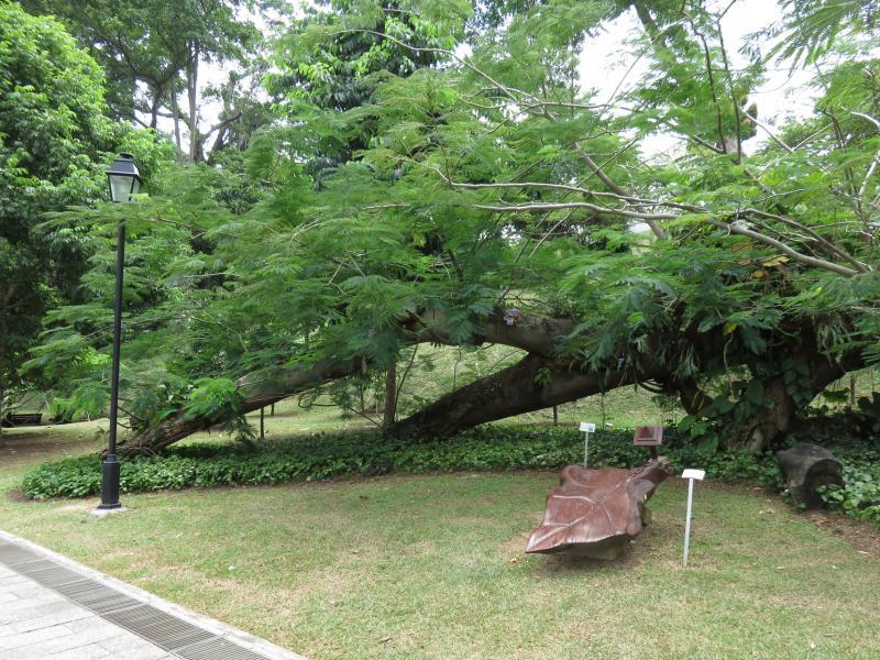 福康宁公园里的植物之间不时出现装置艺术品。