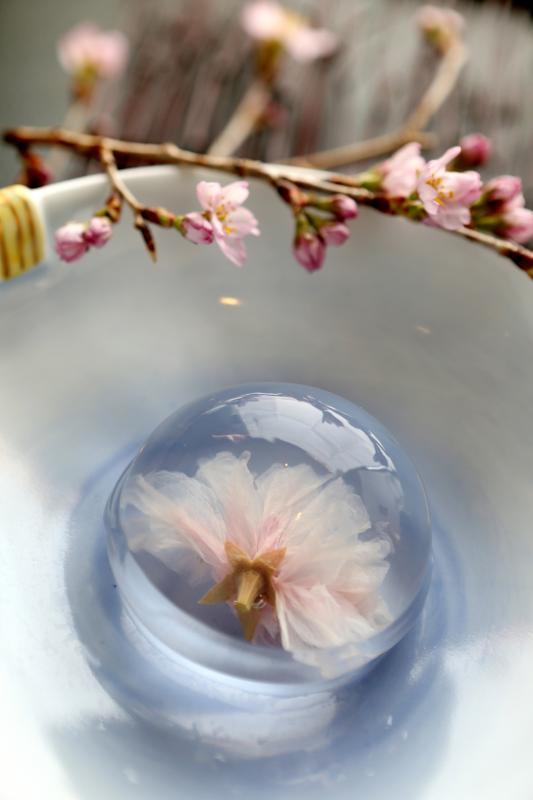 晶莹剔透的“雨滴蛋糕”。