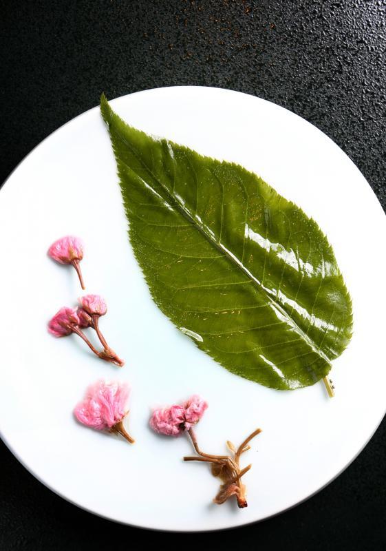 樱花没有味道，但有像茉莉花的香气。