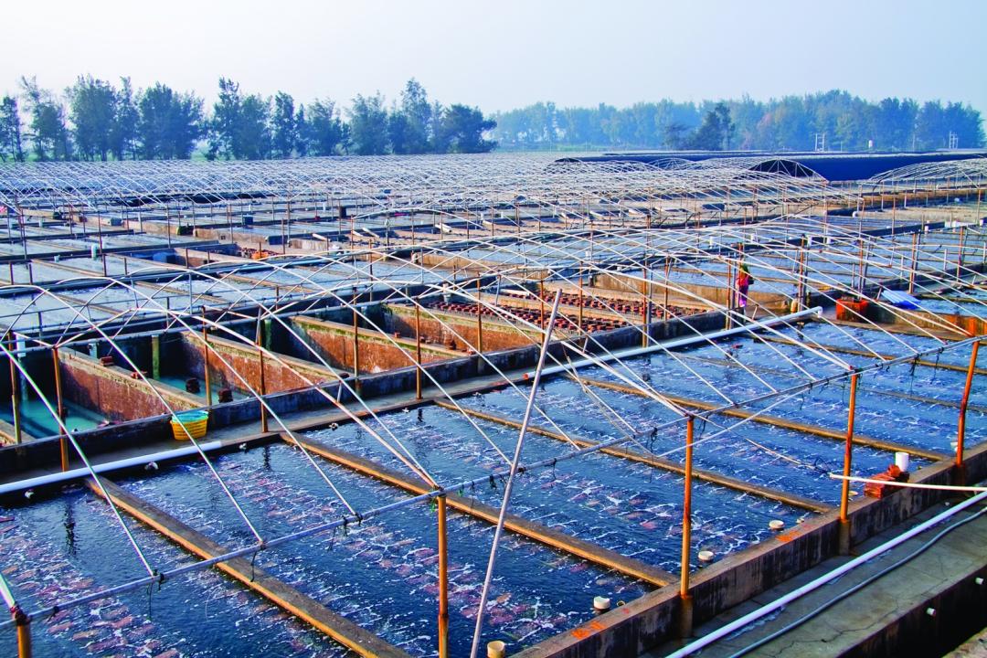 20180401_news_morning_view_-_farm_Medium.jpg