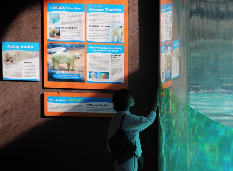 20180426_news_inuka1_Large.jpg