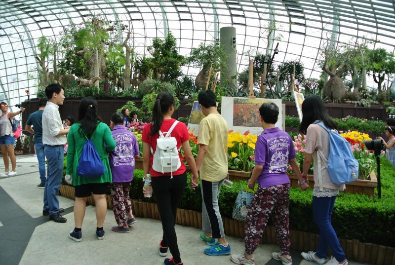 义工带领长期住院者到滨海湾花园赏花。（心理卫生学院提供）