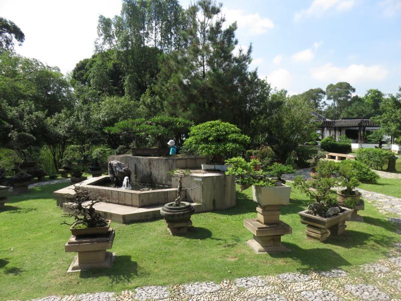 盆景园收集了各大流派的盆景,是本区域最丰富的盆景展区。