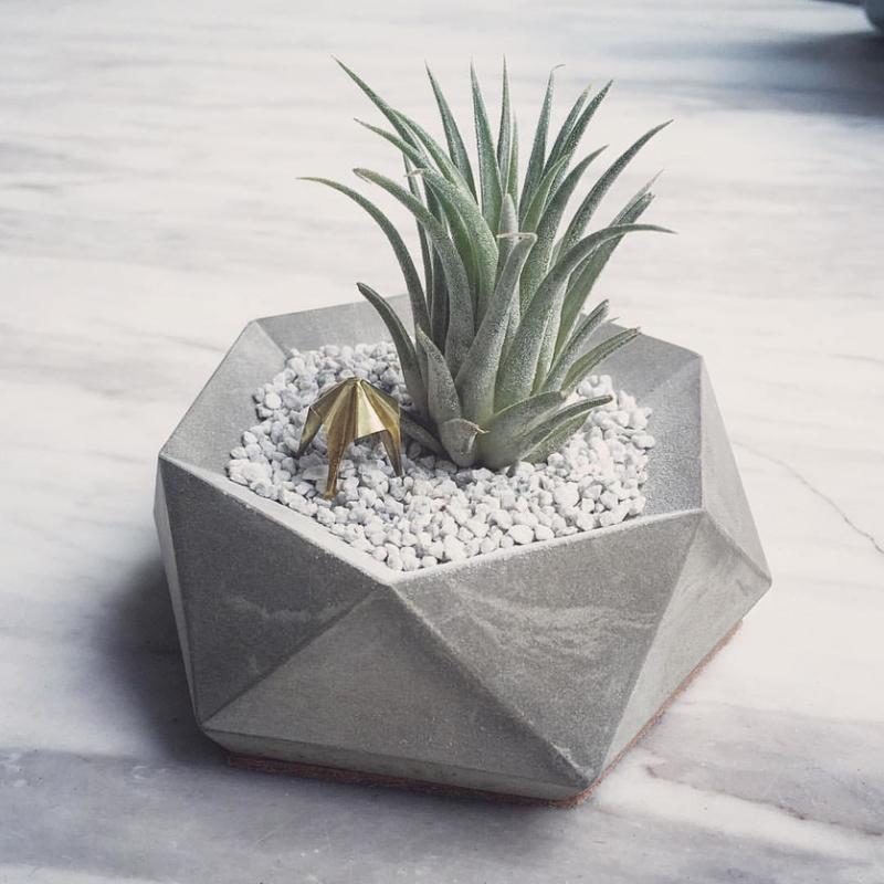 水泥制成的迷你花盆。