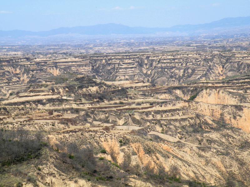 无边无际的黄土高原,层层叠叠 ,干巴巴却哺育了一代代的黄土地的人们。