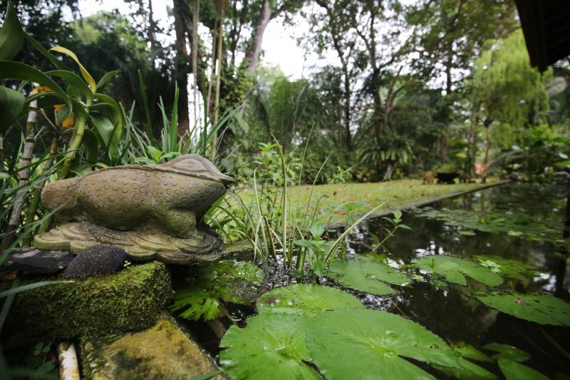 女主人家在阳台外围筑造一塘鱼池,常闻蛙鸣。