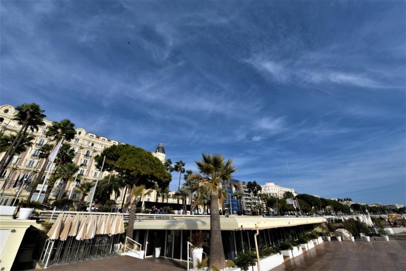 戛纳的海滨大道。