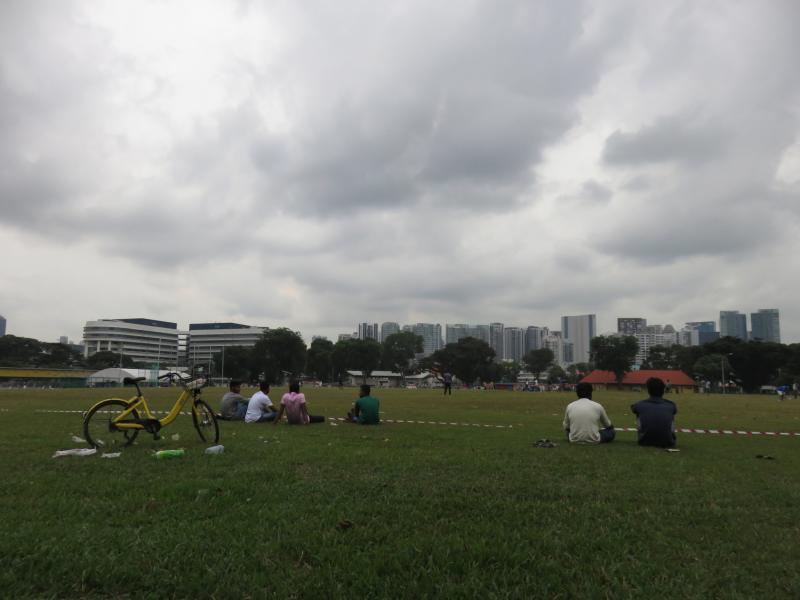 让公众免费使用的大草场,常见多种体育活动。