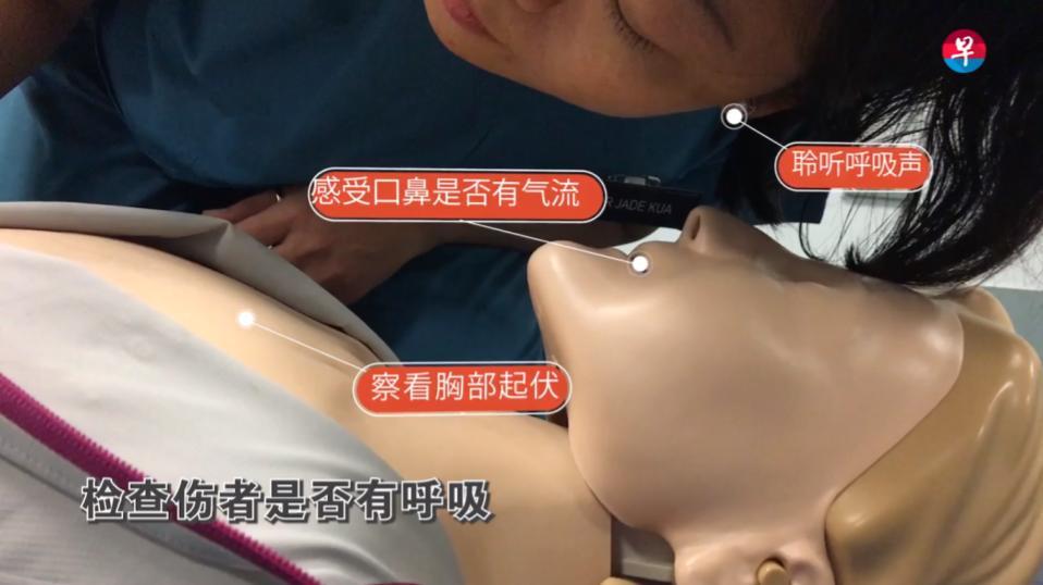 AED, CPR, first aid, heart attack, 心脏骤停, 自动, 心脏除颤器, 急救, 心肺复苏