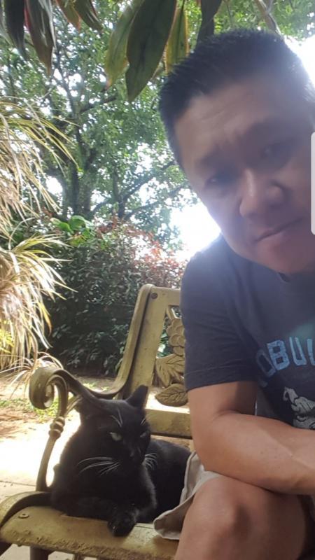 这只约4岁大的邻里公猫,不喜欢靠近人。黄平生捉它去绝育,慢慢地成为朋友。它现在每天都会出现在他家附近,只要看到他,就会跑去找他“坐坐”,甚至不请自来,上他家“串门子”。(黄平生提供)