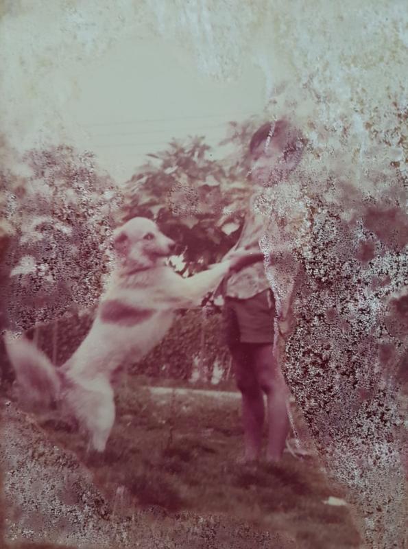 黄平生从小就喜欢亲近动物,这是他与狗儿互动的照片。(黄平生提供)