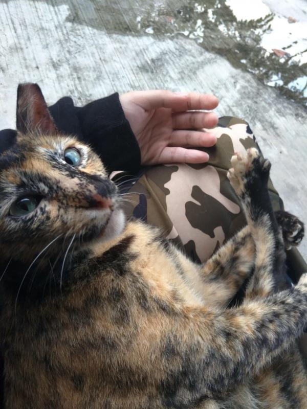 记者女儿常把外套放在腿上,方便“松糕”坐在上面。(傅丽云提供)