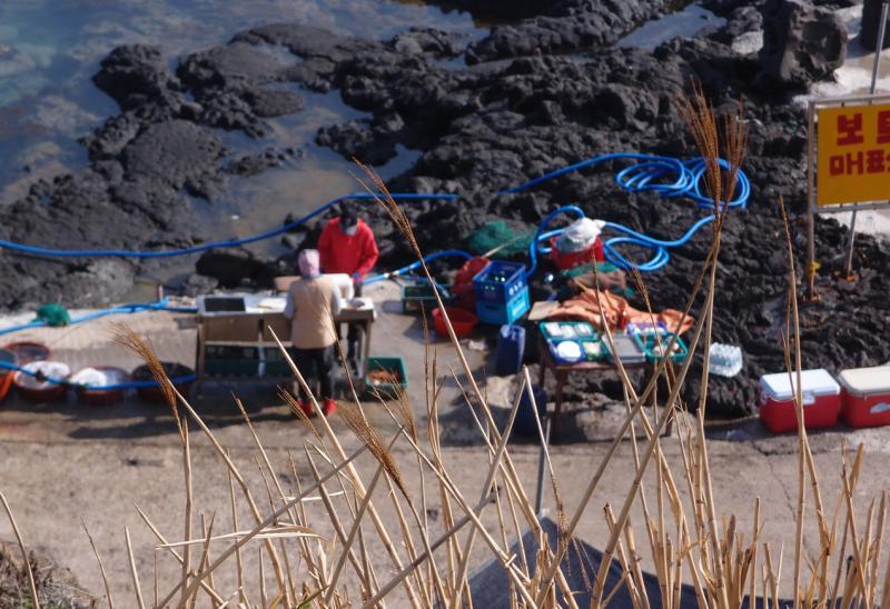 黑沙滩旁的小食摊售卖鲜美的海产。