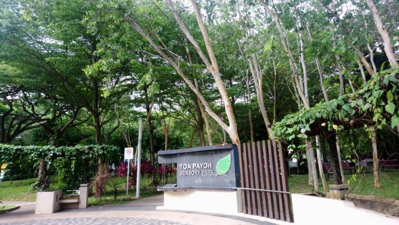 大巴窑感官公园。