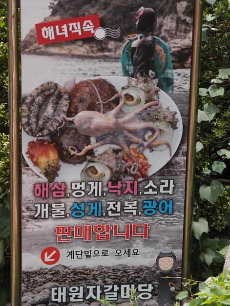 砾石滩的生猛海鲜广告。