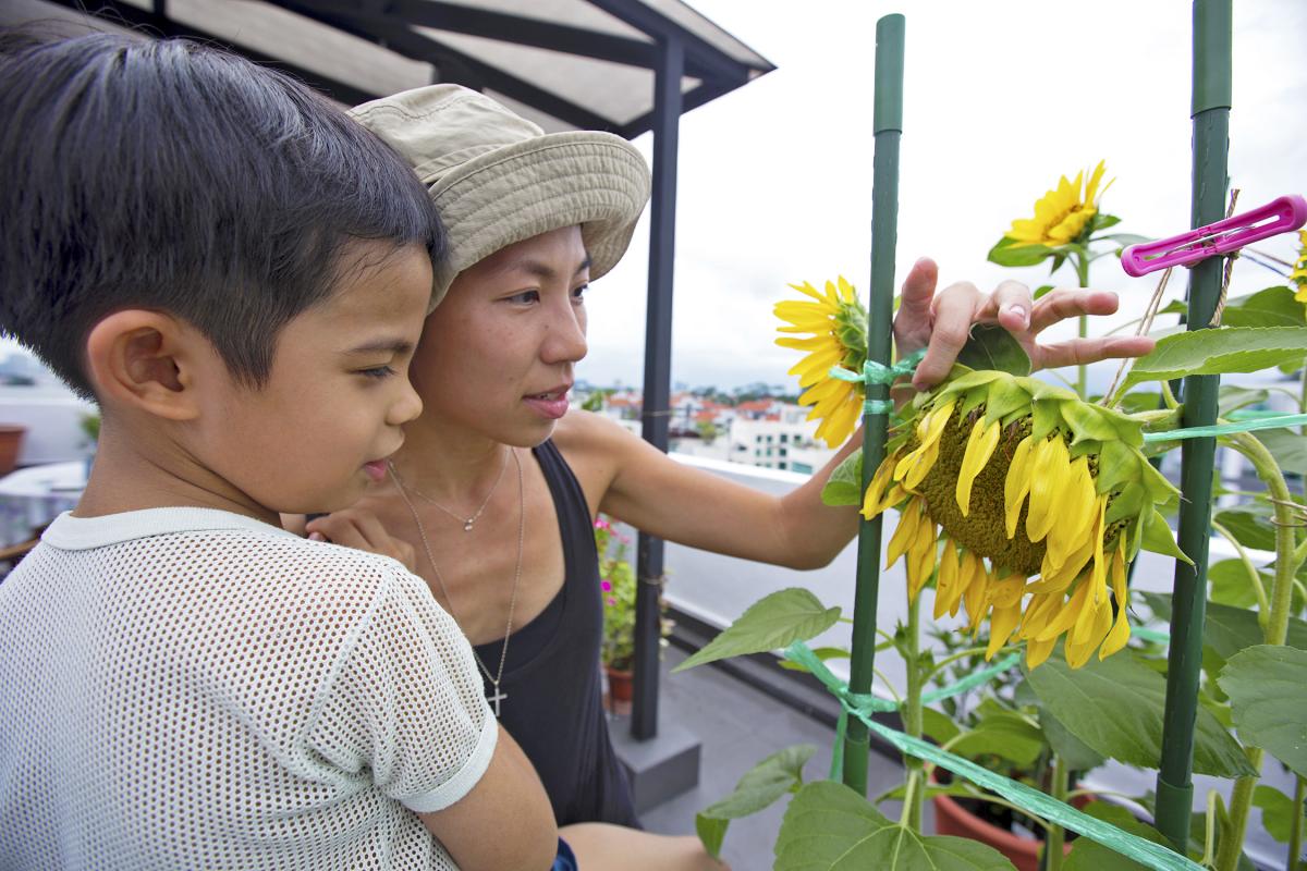 丁玉莲希望让孩子看到花果自然生长的样子。