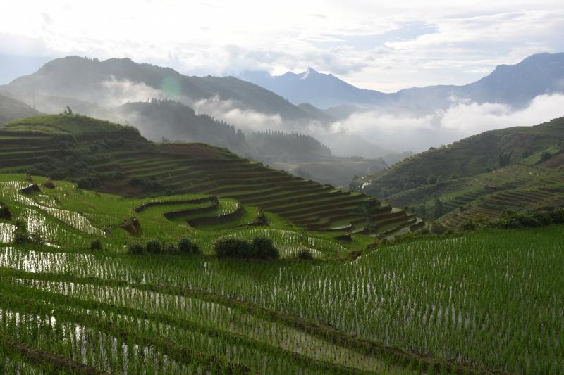云烟里的梯田,层峦迭嶂,美不胜收。