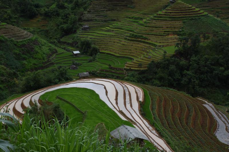 美观独特的圆形状梯田。