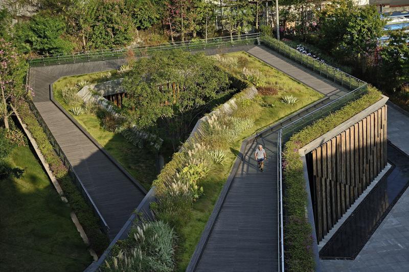 福道有10个入口处,每一处都是高度调节站,让人轻松快速地进入山中。